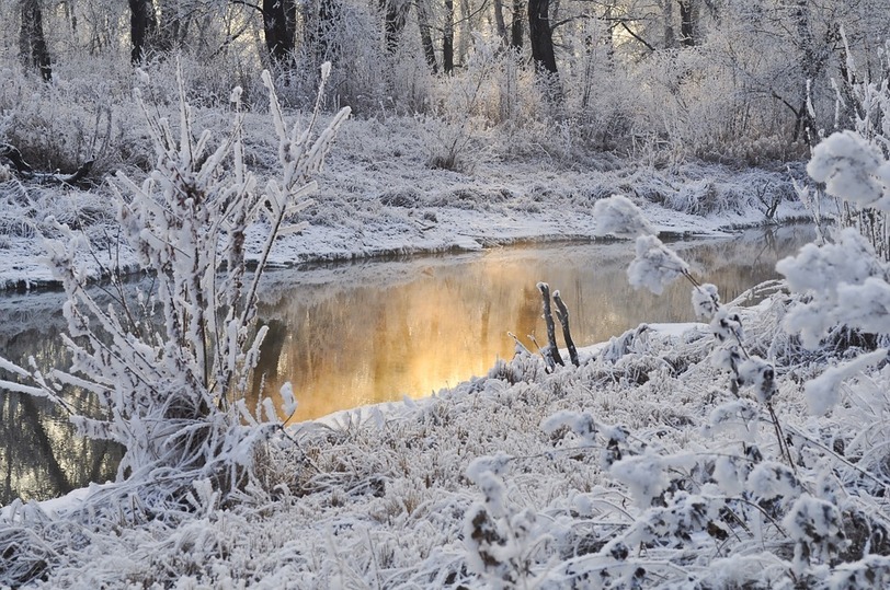 Морозы и снег ожидают Алтайский край 11 ноября